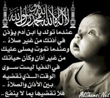 alshamsi